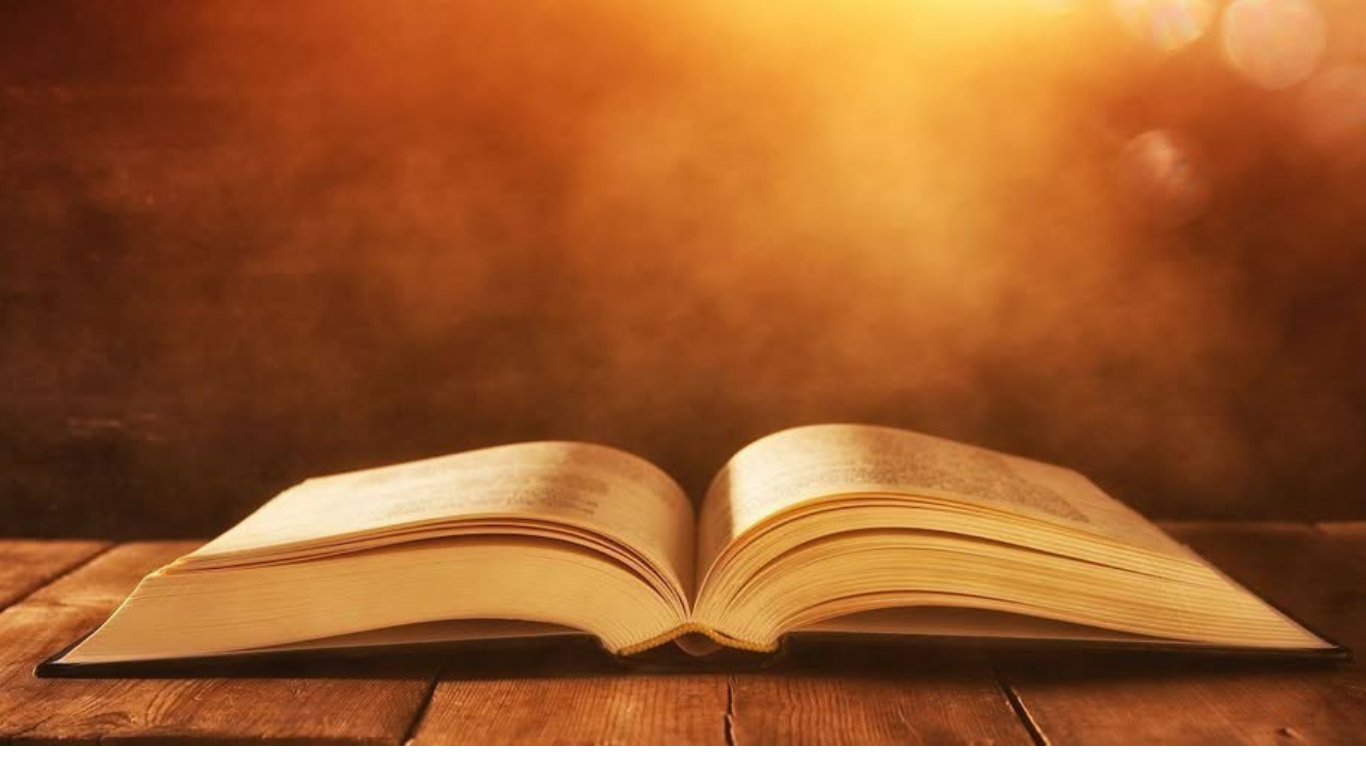 Bible Survey Icon
